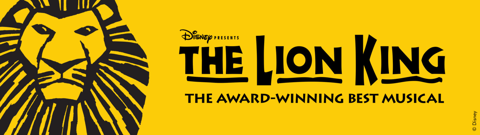 download the lion king broadway tour