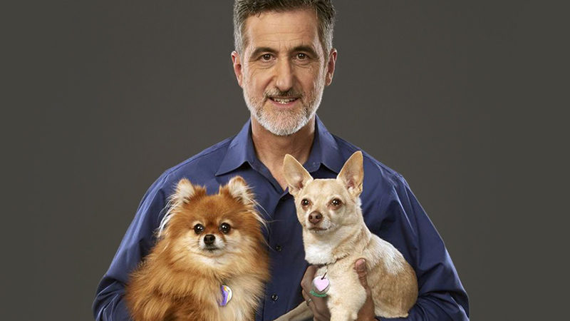 Bill Berloni and dogs