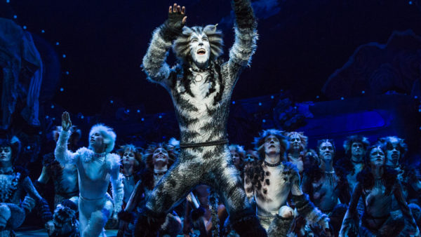 Memories of Cats — Then. Now. Forever. | Broadway Direct