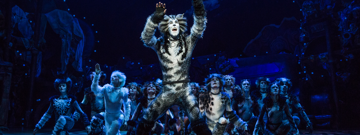 The cast of Cats the musical on Broadway