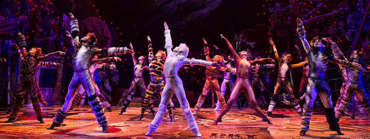 Cats to perform at the Hollywood Pantages