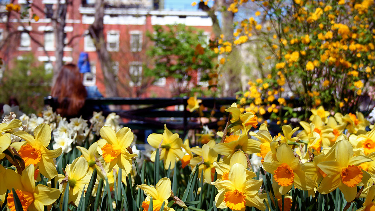 Top 5 Things To Do in NYC this Spring Break