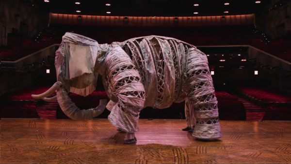 carter's musical elephant