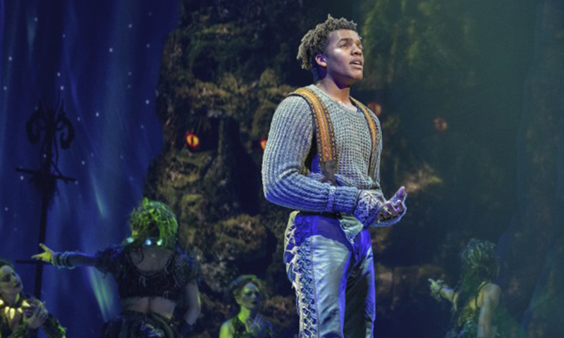 Mason Reeves in the national tour of <i>Frozen</i>. Photo by Deen van Meer.