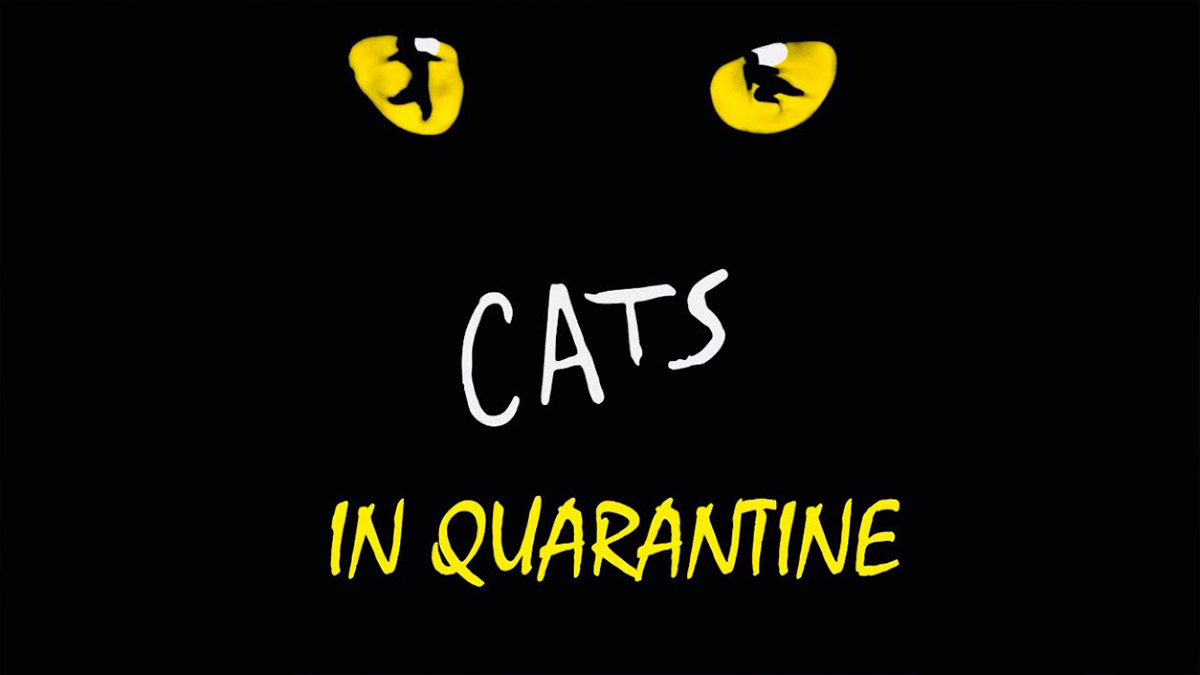Cats in Quarantine