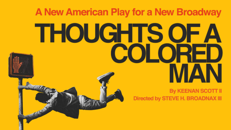 thoughts of a colored man reviews