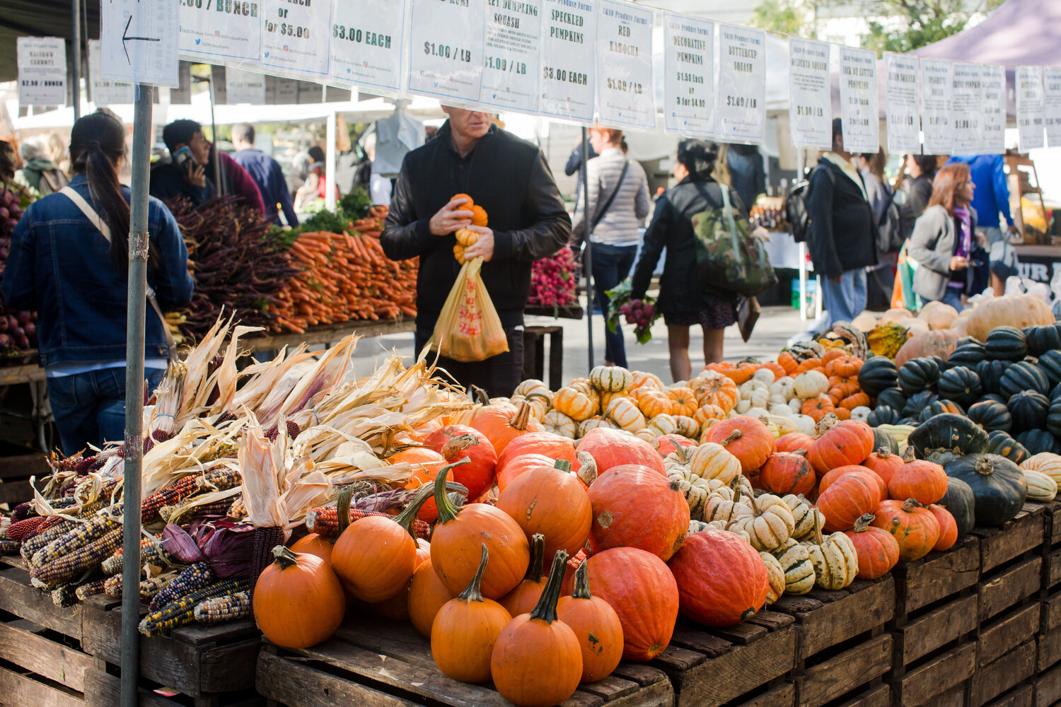 Union Square Greenmarket. Photo by Liz Ligon.