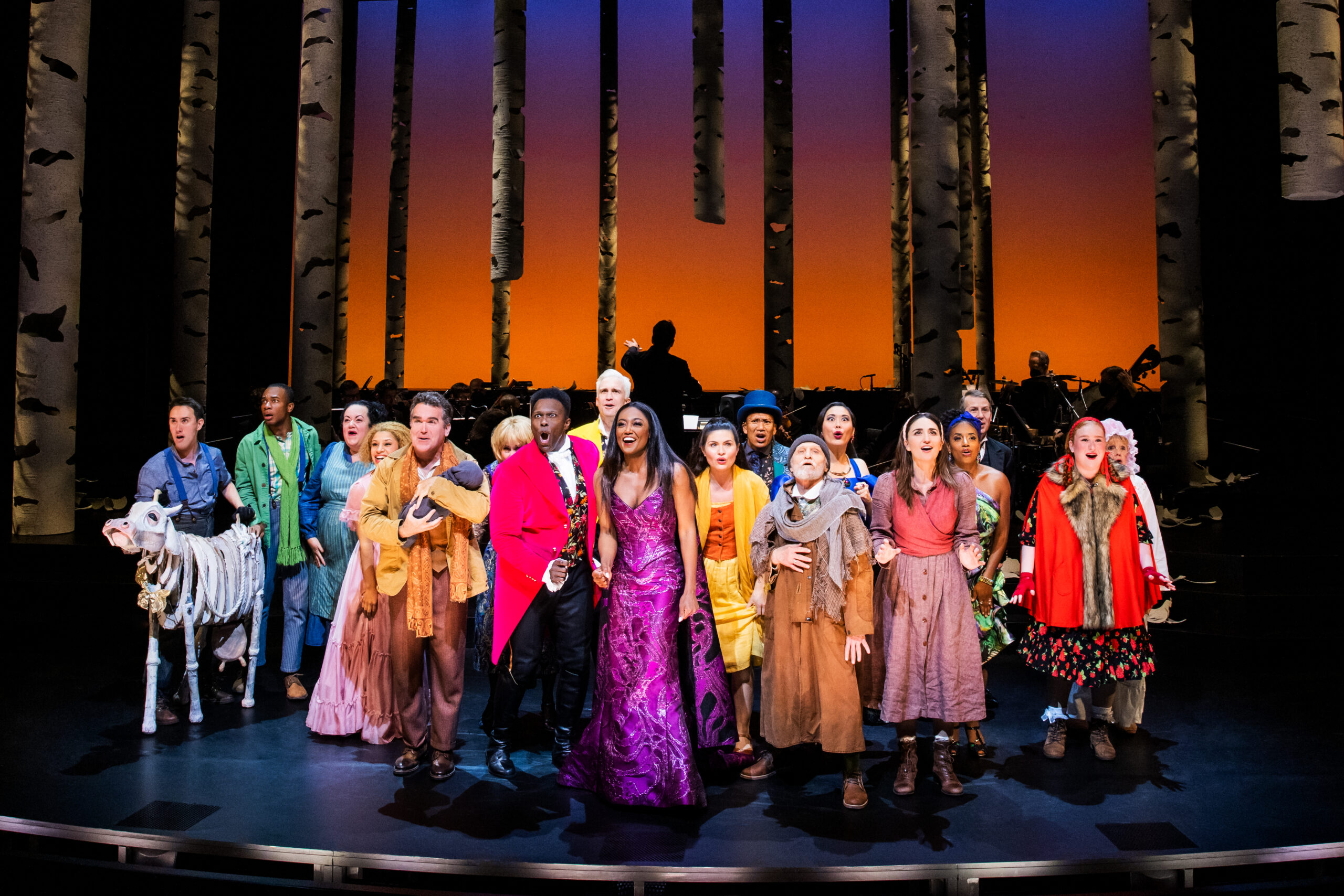 The Cast of Into the Woods. Photo by Matthew Murphy and Evan Zimmerman for MurphyMade.
