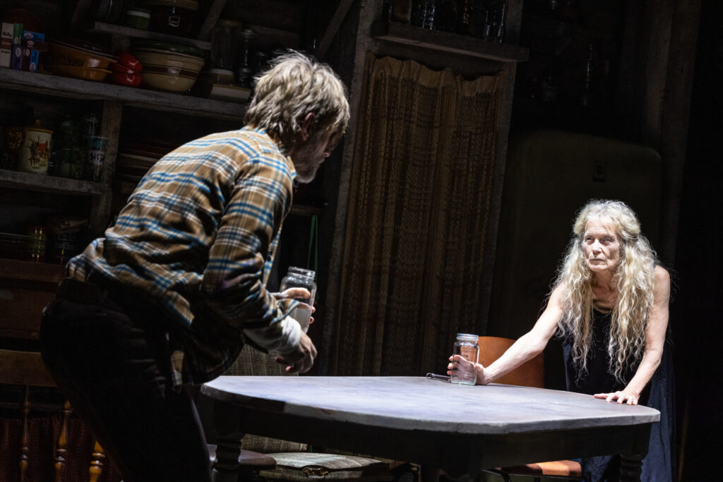 Paul Sparks and Cyndi Coyne in Grey House. Photo by MurphyMade.
