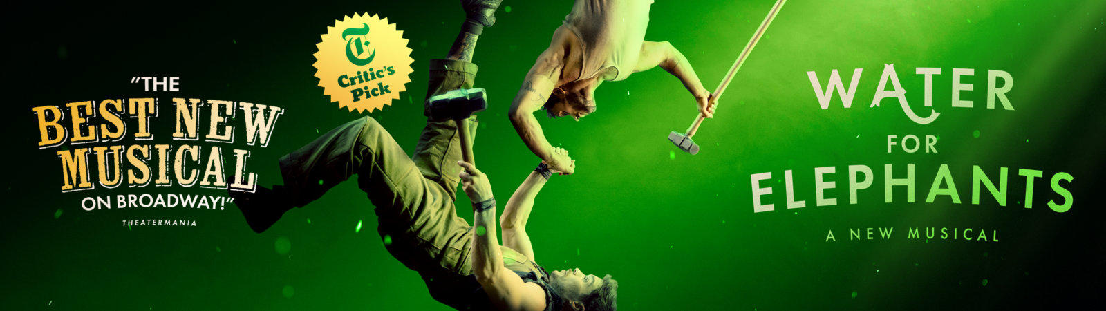 'Water For Elephants' in light green all caps over a green/black background.