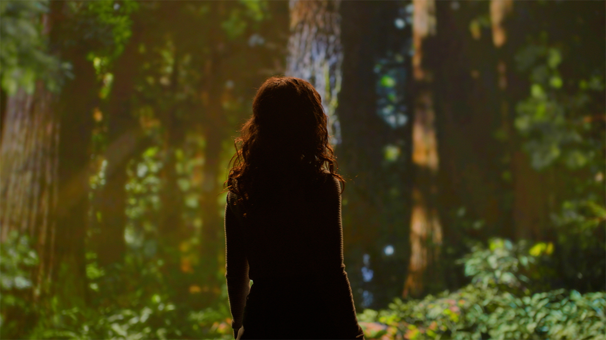 Watch Now: <i>Redwood</i> Starring Idina Menzel Opens This Winter