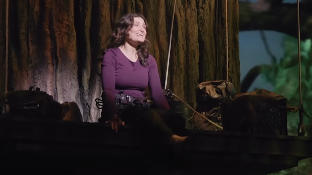 Watch Now: Idina Menzel Gives Sneak Preview of <i>Redwood</i> on Broadway