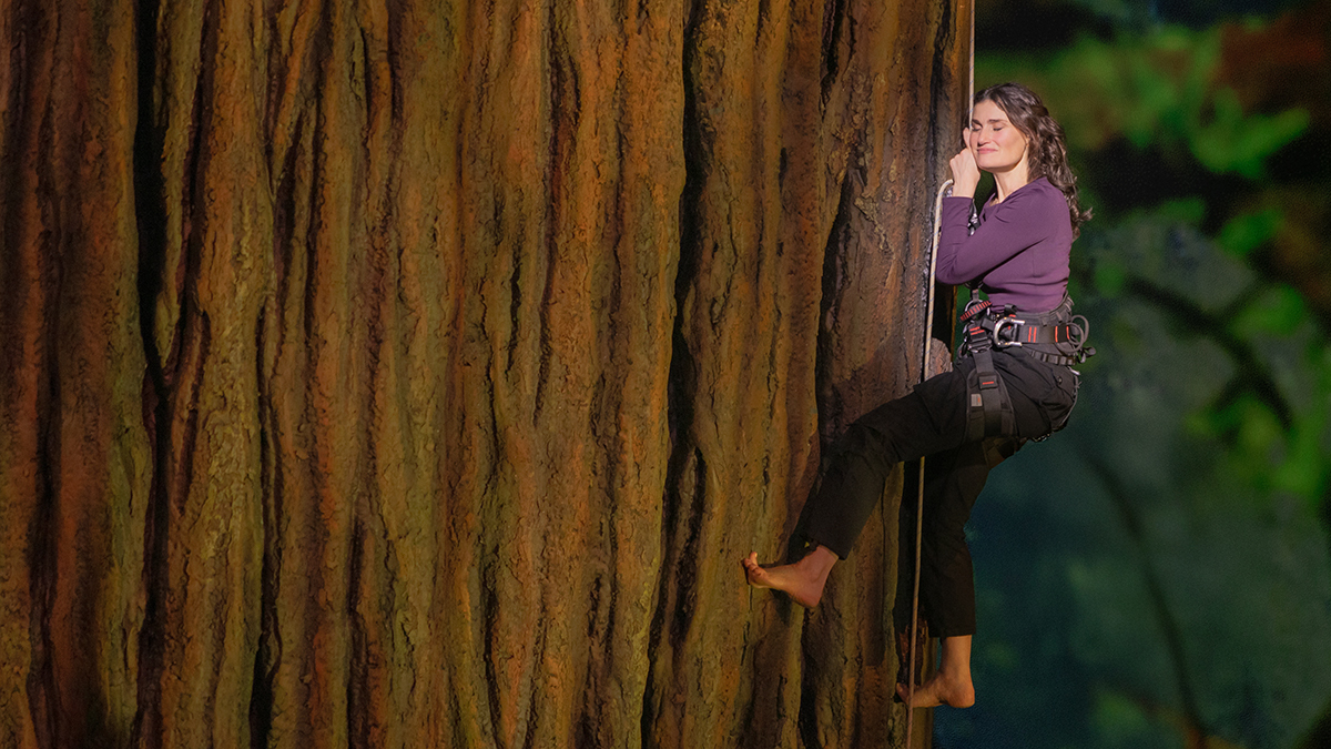 <i>Redwood</i> Starring Idina Menzel to Close on Broadway
