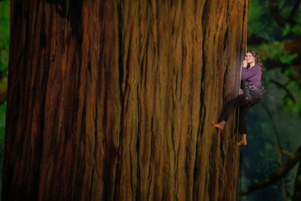 Idina Menzel in Redwood.