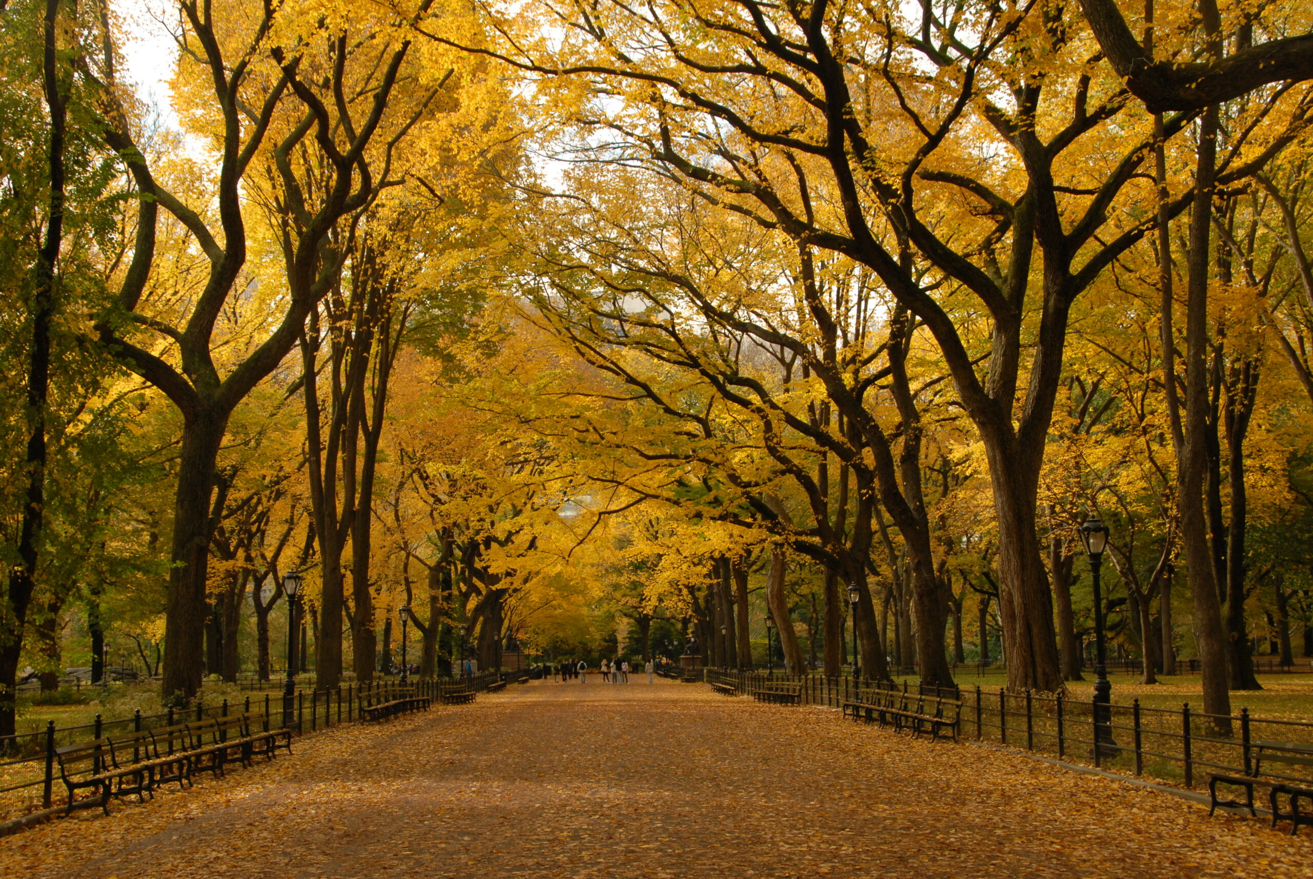 Photo Credit: Central Park Conservancy