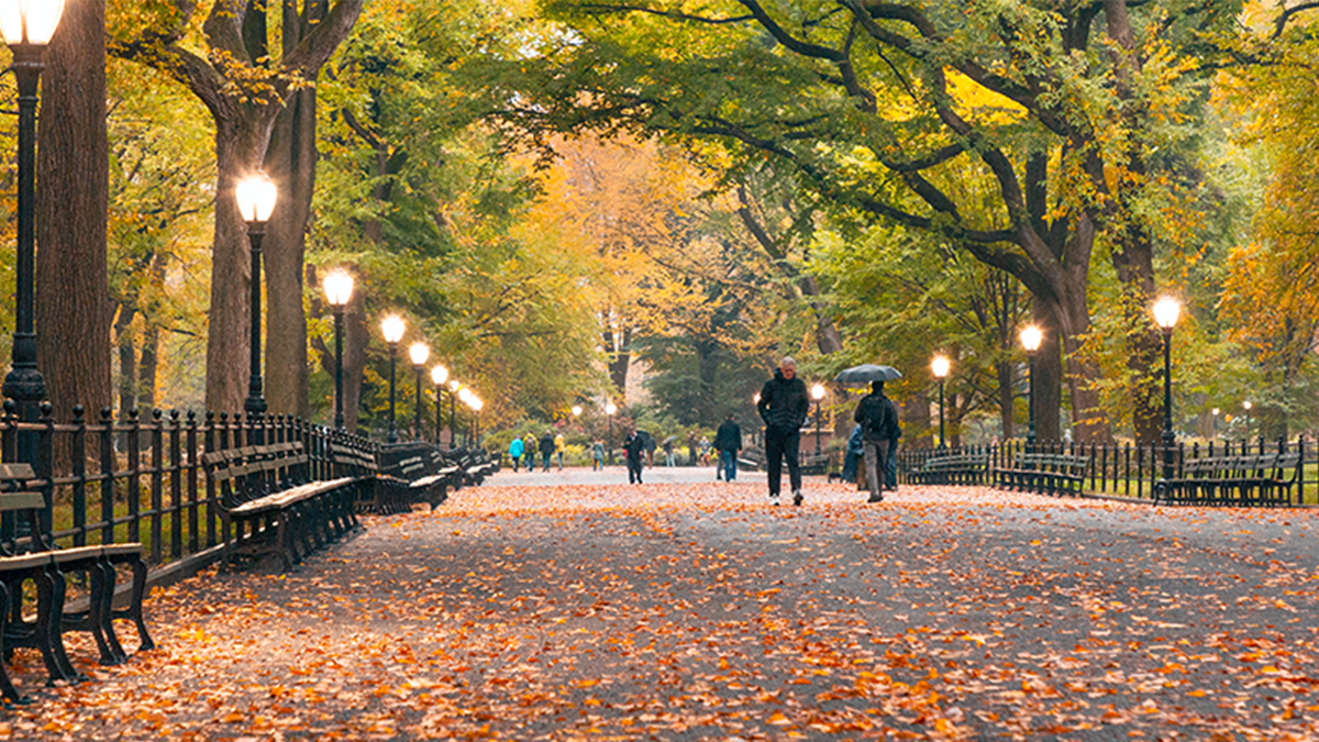 Top Five Things to Do in NYC This Fall