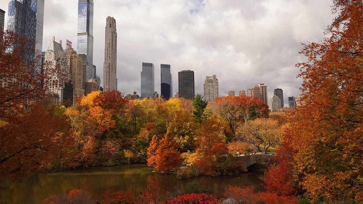 Top 5 Things To Do In NYC This Fall
